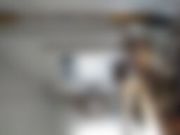 Urlaub im Ferienhaus an der Schlei