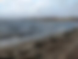 Schlei Urlaub im Ferienhaus