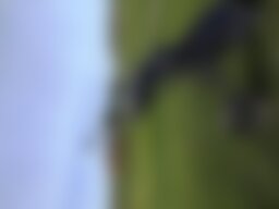 Golfspielen am See Mecklenburgische Schweiz