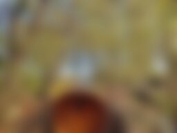 See-Chalet mit Sauna