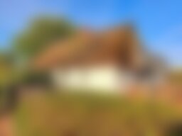 Reet-Ferienhaus